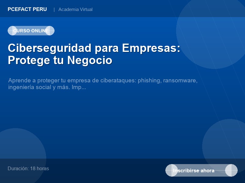 Ciberseguridad para Empresas: Protege tu Negocio